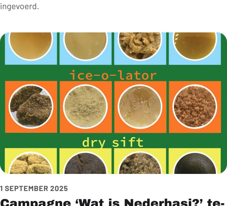 Campaign 'What is Dutch Hash?' against ignorance and ...