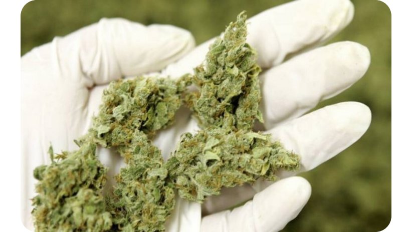 Existing agreements regarding synthetic cannabinoids remain in force.
